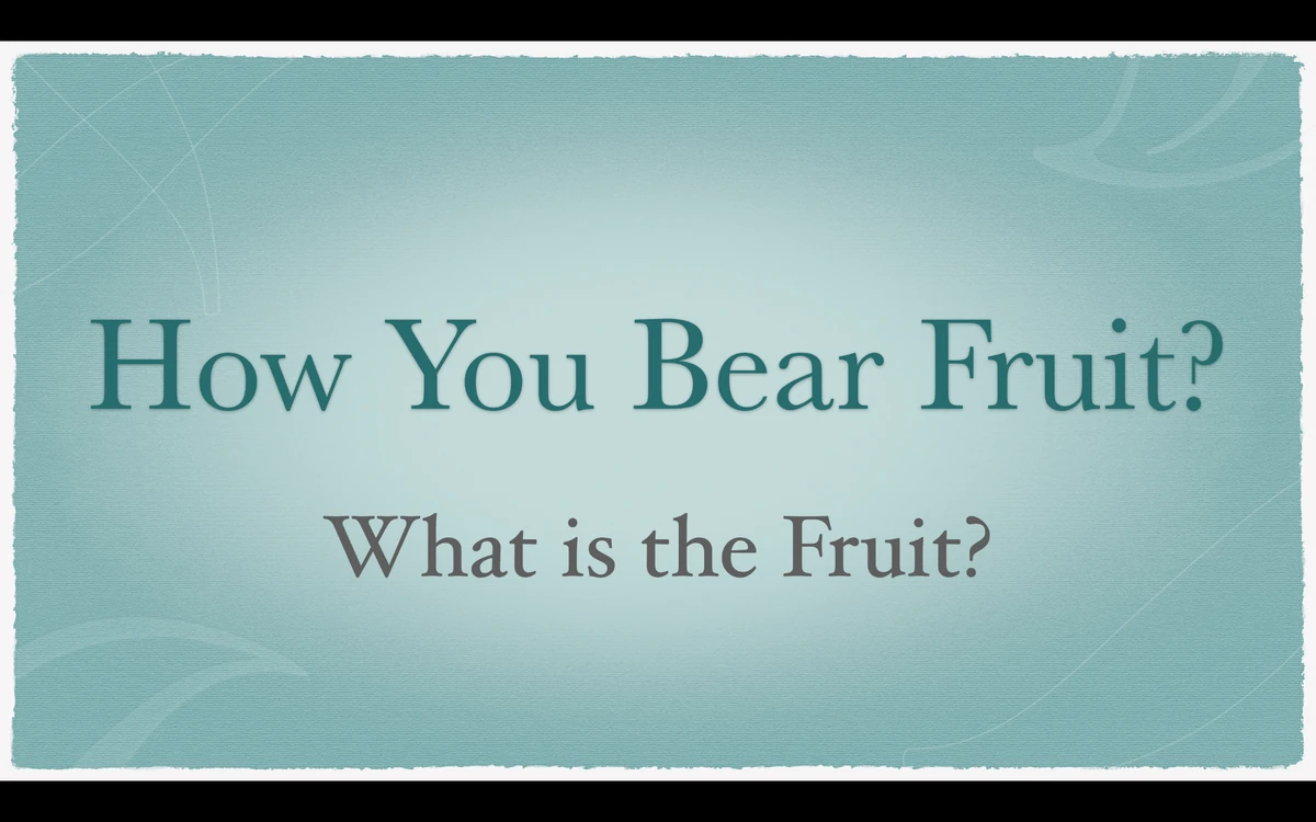 What is the Fruit of the Spirit Sermon Voyage Community Church in Wyoming, MI